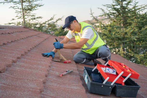 Best Roof Gutter Cleaning  in Wallenuck Lake Estates, PA