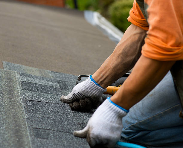 Best Shingle Roofing Installation  in Wallenuck Lake Estates, PA