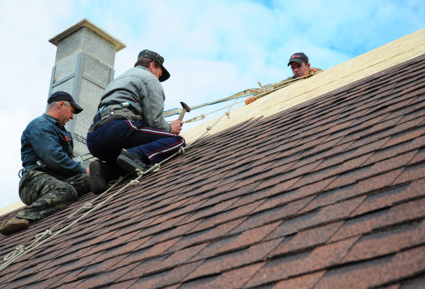Best Flat Roof Repair Services  in Wallenuck Lake Estates, PA